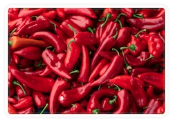 Andalusian-Red-Pepper