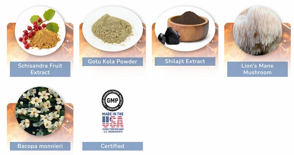 CogniSurge Ingredients